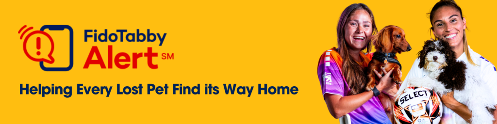 FidoTabby Alert - Helping Every Lost Pet Find its Way Home
